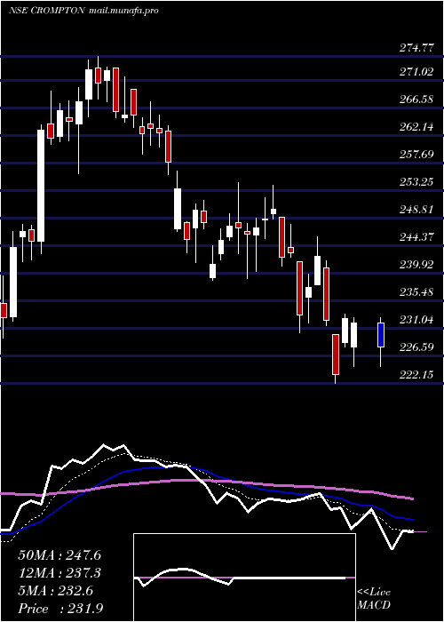  Daily chart CromptonGr