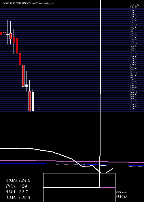  monthly chart DamodarIndust