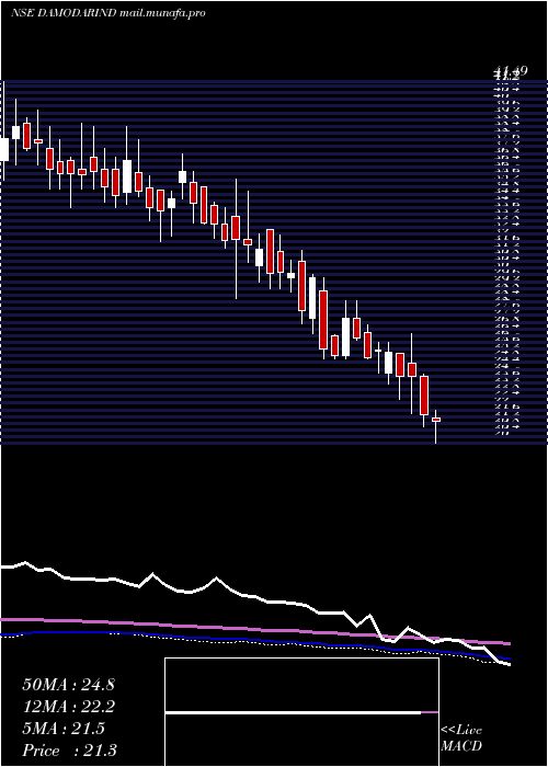  weekly chart DamodarIndust