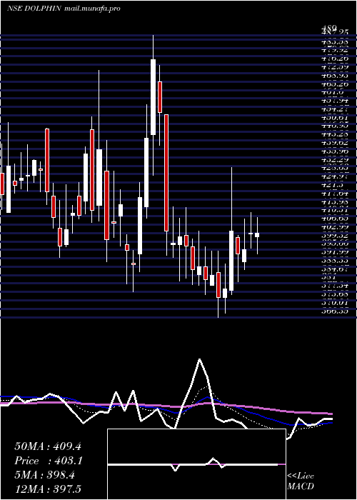  Daily chart DolphinfEnt