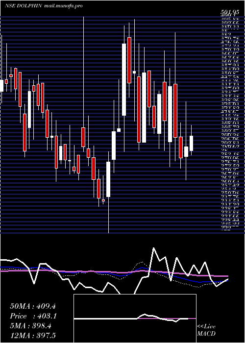  weekly chart DolphinfEnt