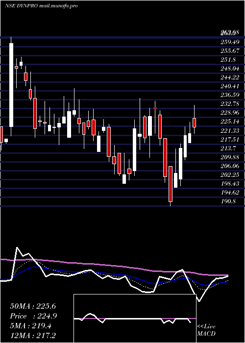  Daily chart DynemicProducts