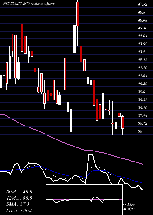  Daily chart ElgiRubber