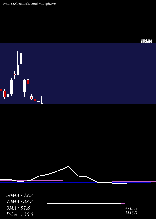  monthly chart ElgiRubber