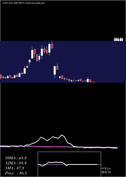  weekly chart ElgiRubber