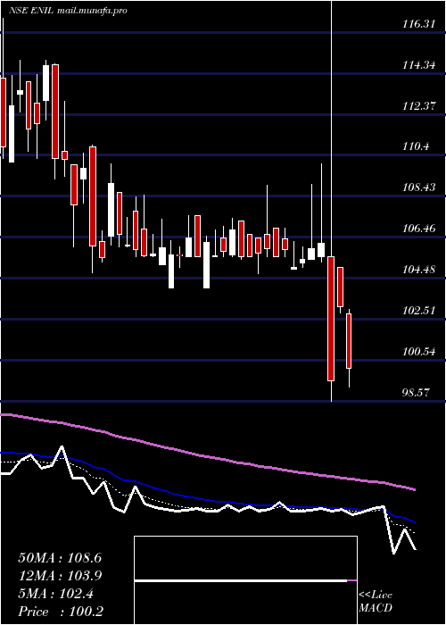 Daily chart EntertainmentNetwork