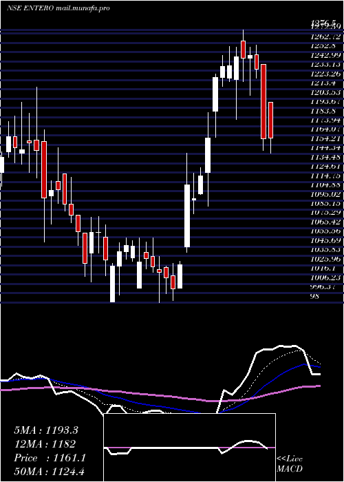  Daily chart EnteroHealthcare
