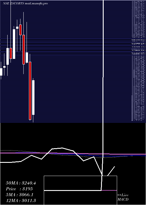  monthly chart Escorts