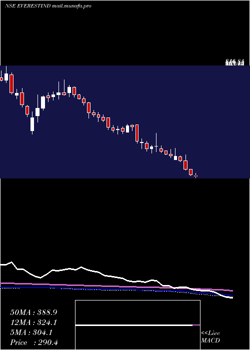  weekly chart EverestIndustries