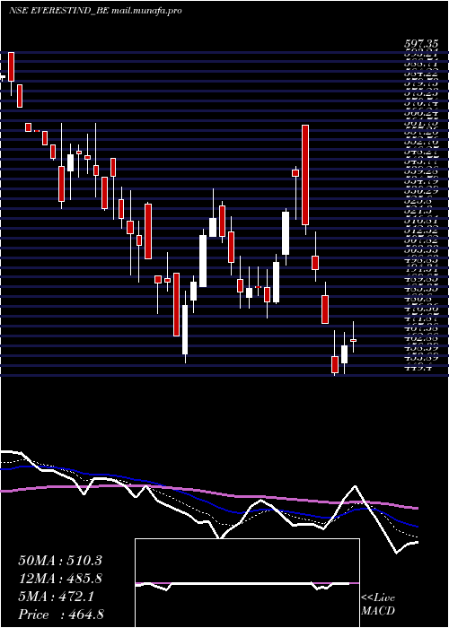  Daily chart EverestIndustries