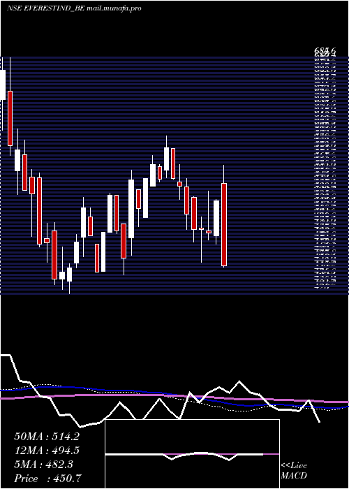  weekly chart EverestIndustries