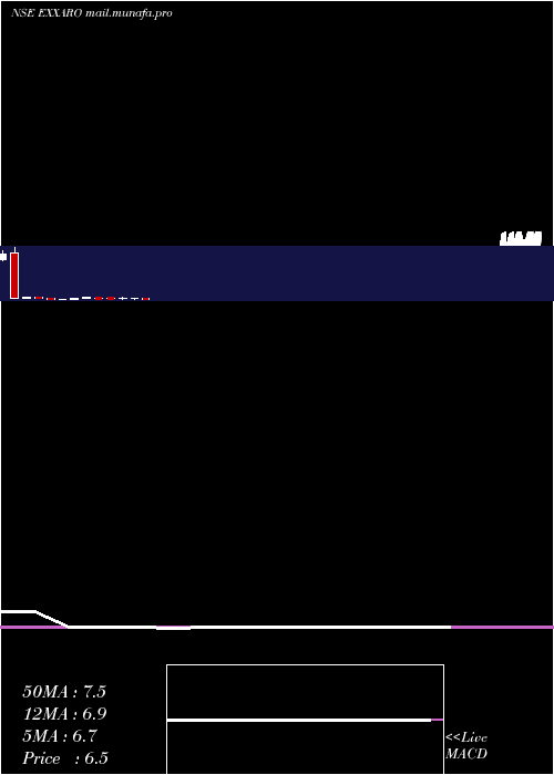  monthly chart ExxaroTiles