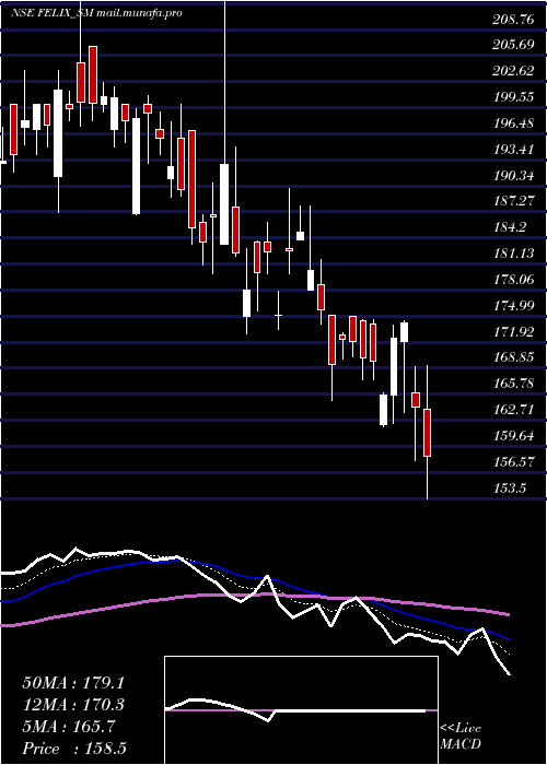  Daily chart FelixIndustries