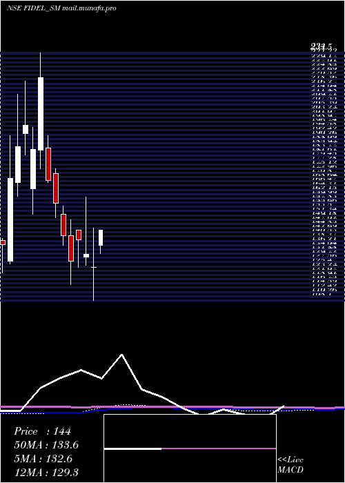  monthly chart FidelSoftech