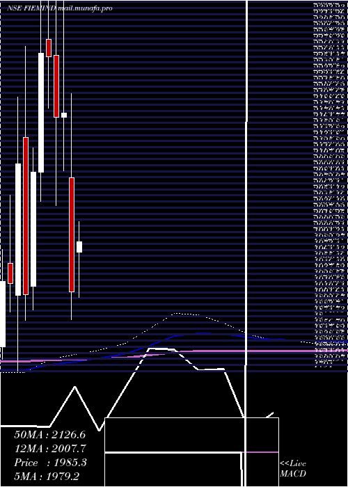  monthly chart FiemIndustries