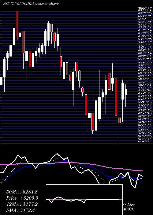  Daily chart GujaratFluorochem