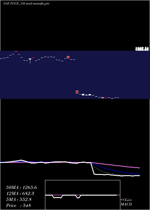  Daily chart FoceIndia