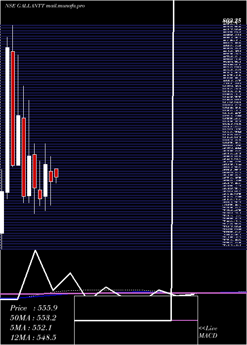  monthly chart GallanttMetal