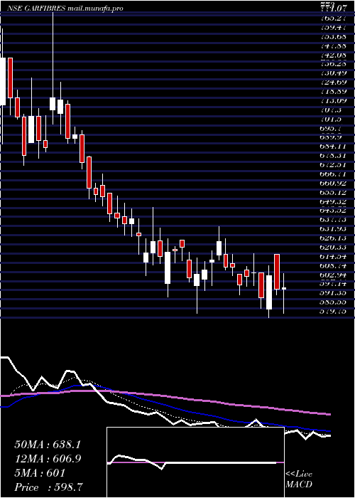  Daily chart GarwareTech