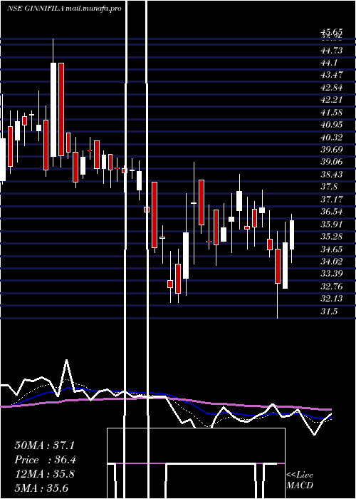  Daily chart GinniFilaments