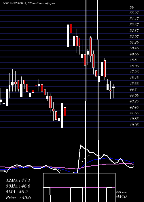  Daily chart Ginnifilaments