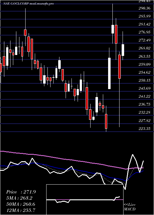  Daily chart GoclCorporation