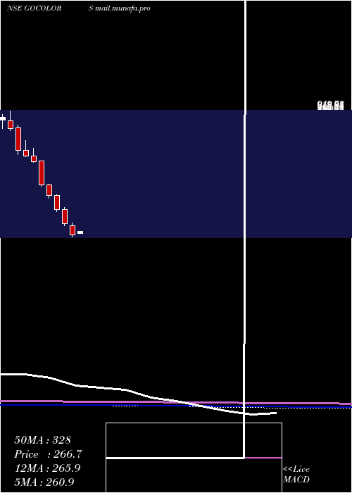  monthly chart GoFashion