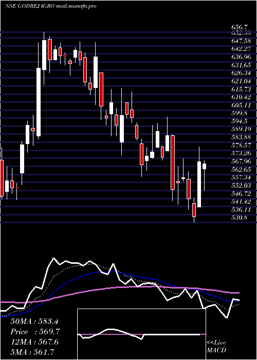  Daily chart GodrejAgrovet