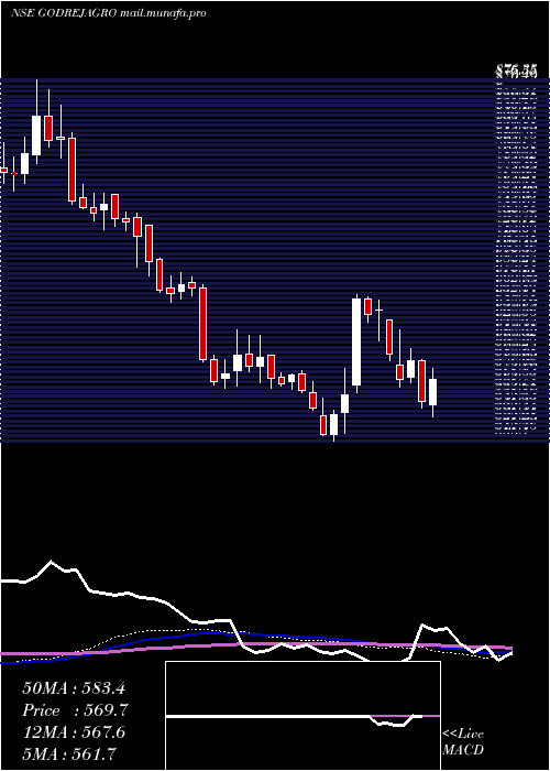  weekly chart GodrejAgrovet