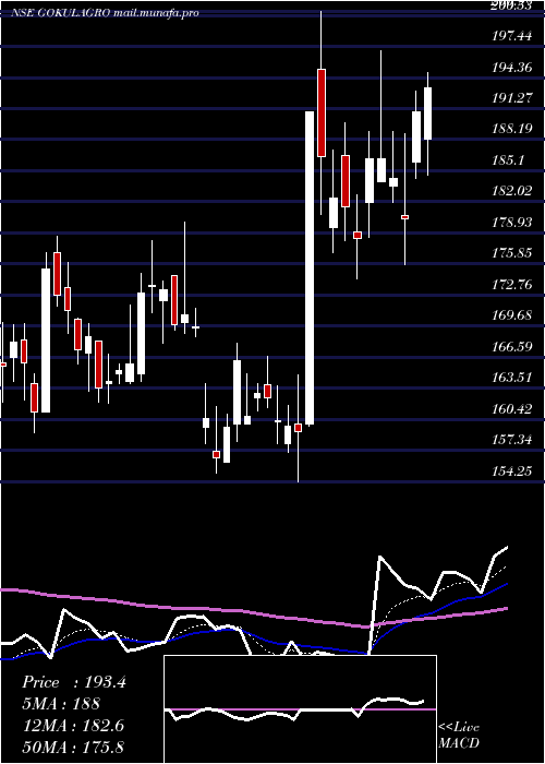  Daily chart GokulAgro