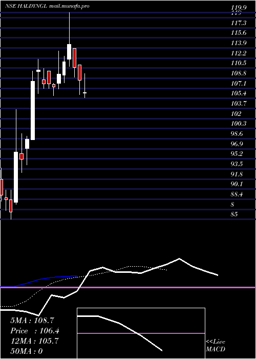  Daily chart HaldynGlass