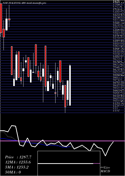  Daily chart HaleosLabs