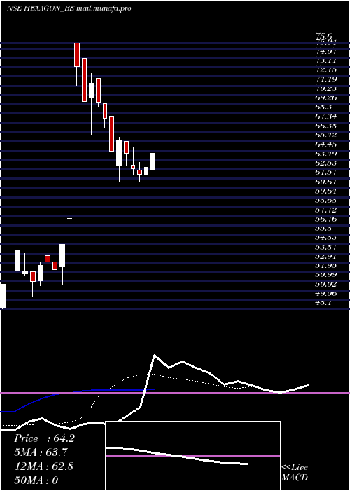  Daily chart HexagonNutrition