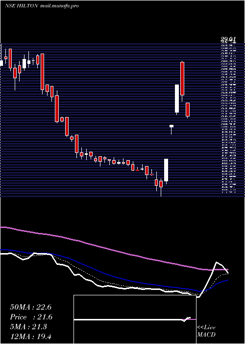  Daily chart HiltonMetal