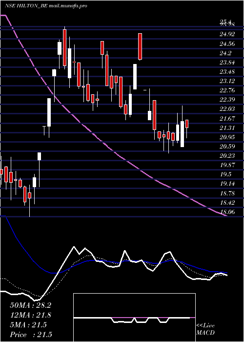  Daily chart HiltonMetal