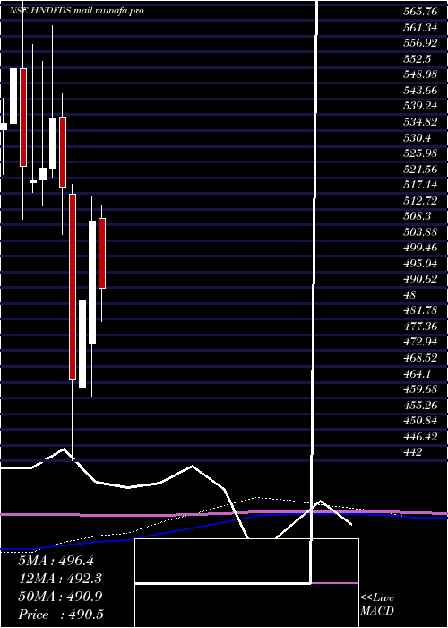  monthly chart HindustanFoods