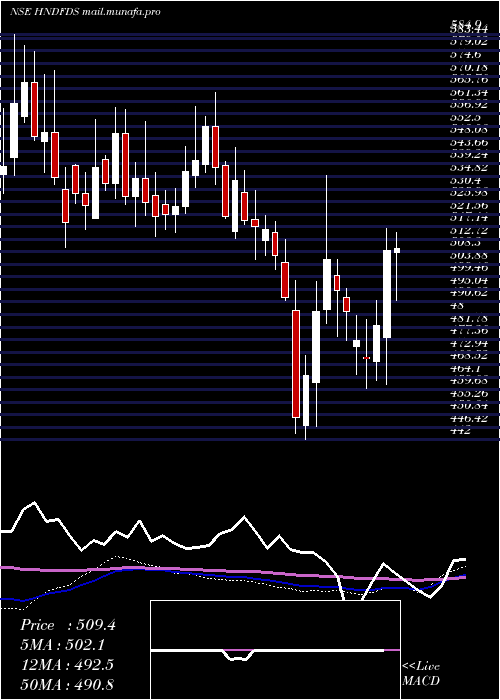  weekly chart HindustanFoods