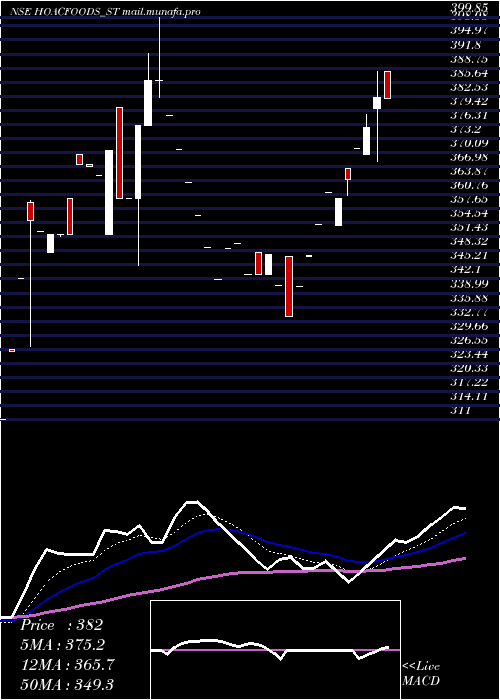  Daily chart HoacFoods