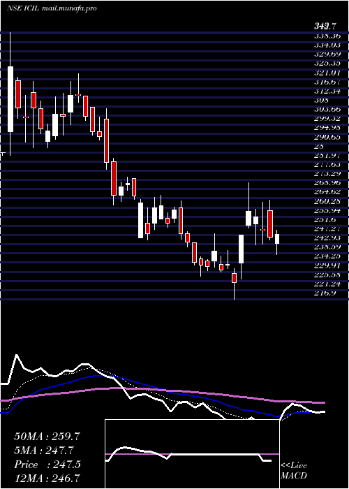  Daily chart IndoCount