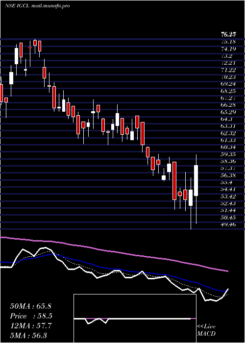  Daily chart IndogulfCropsciences