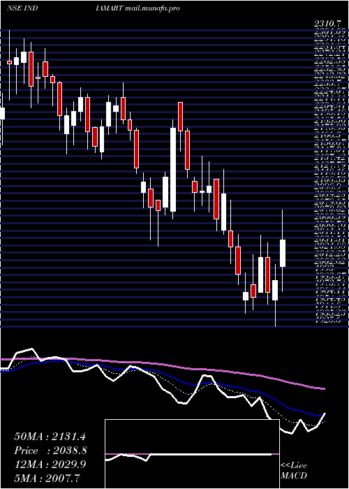  Daily chart IndiamartIntermesh