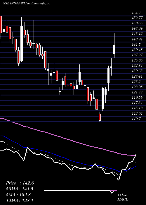  Daily chart IndoFarm