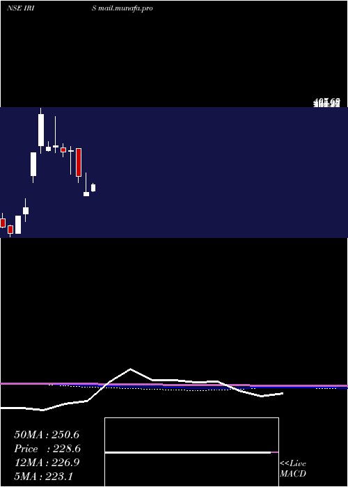  monthly chart IrisBusiness