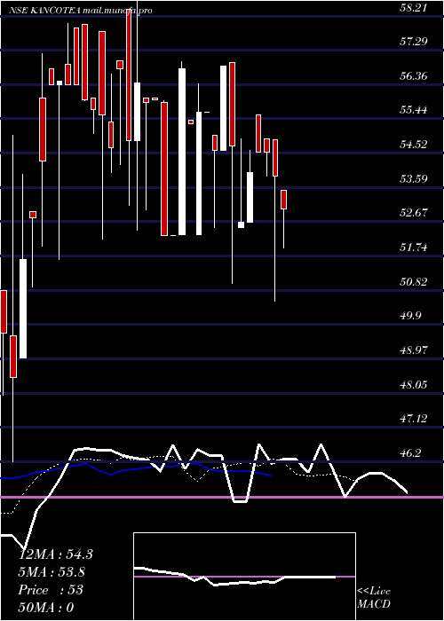  Daily chart KancoTea