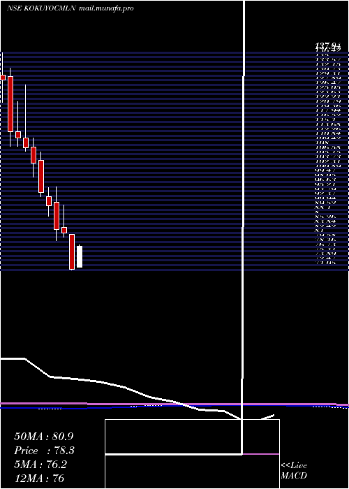  monthly chart KokuyoCamlin