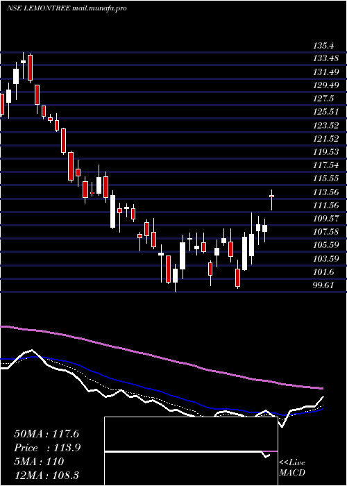  Daily chart LemonTree