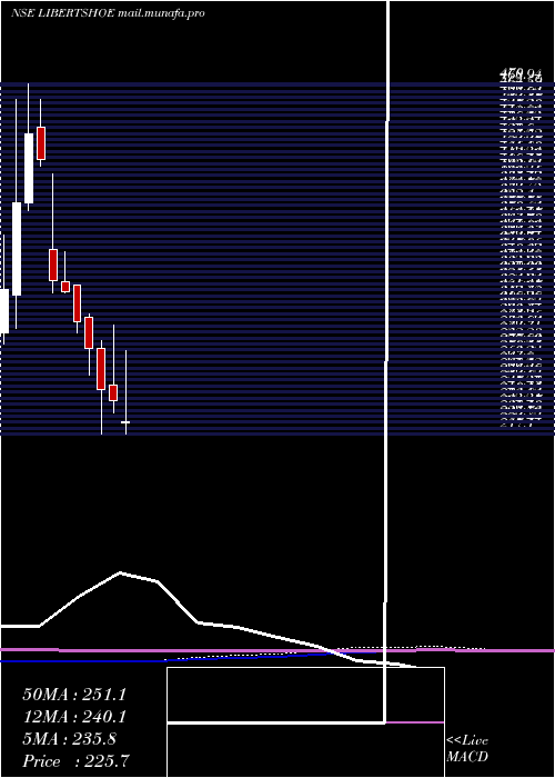  monthly chart LibertyShoes