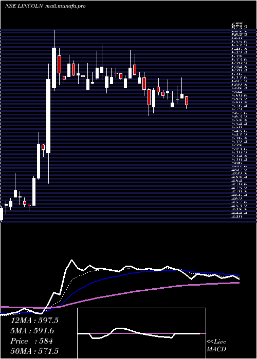  Daily chart LincolnPharma