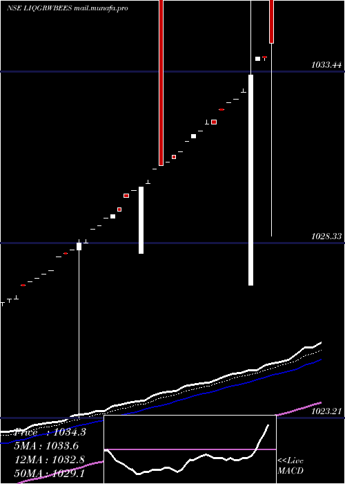  Daily chart NipponamcLiqgrwbees