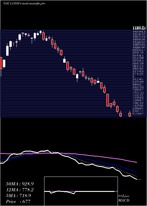  Daily chart MacrotechDevelopers